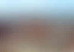 Dresden'in yeniden inşası