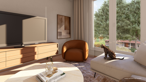 salon tasarımı - salon dekorasyonu