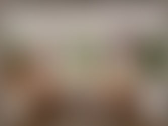 Ev Turu: Vintage Buluntularla Kusursuz Bir Şekilde Katmanlanmış 1905 Yılına Ait Bir Evin Tadilatı